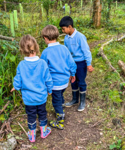 students in the woods