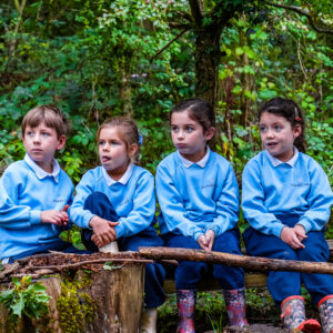 students in forest school