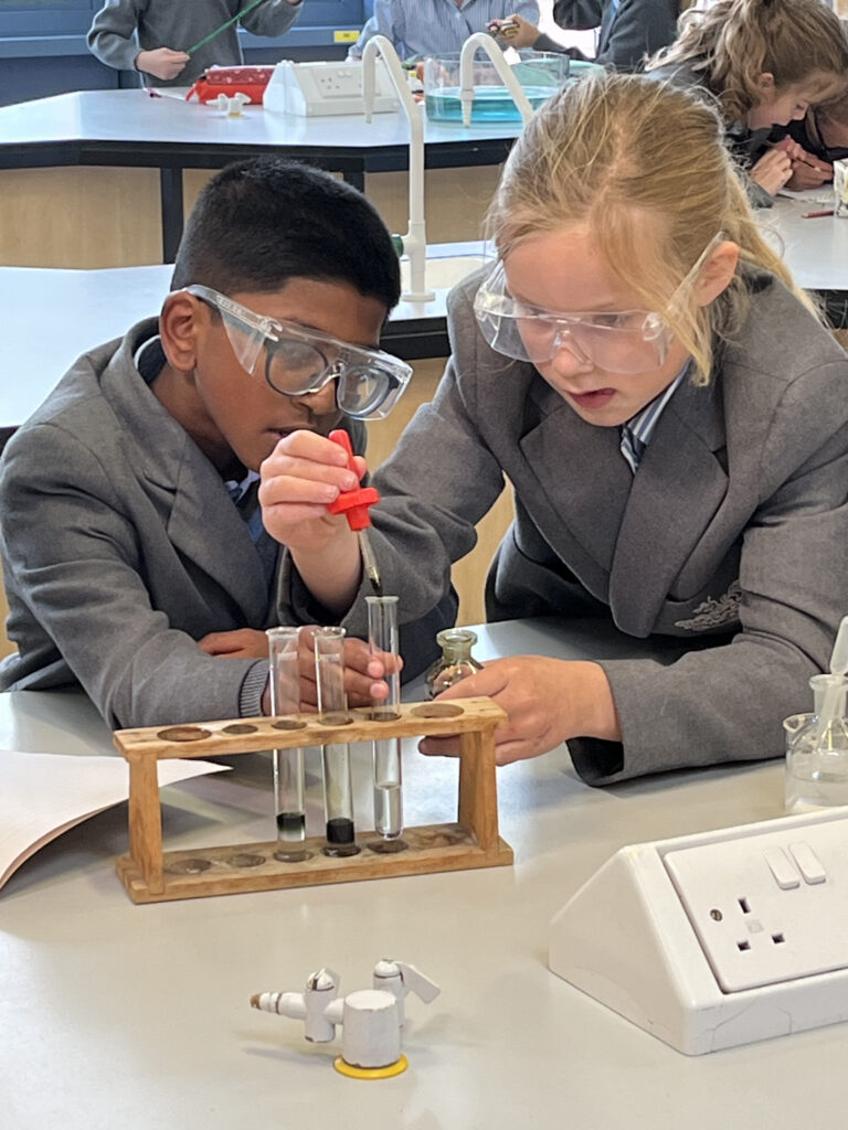 science project with students